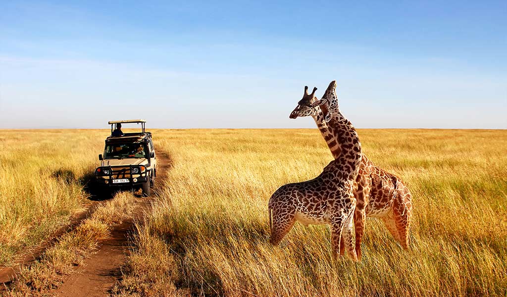 AFRICAN SAFARI AS PART OF A LUXURY RETIREMENT HOLIDAY